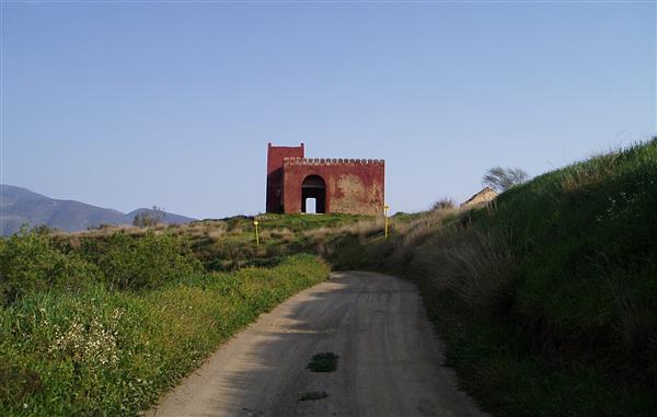 La Torre y el camino de la Cebada, flora silvestre Valle de Lecrín Granada