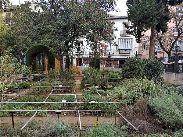 Botanical gardens Granada, planting and species university garden