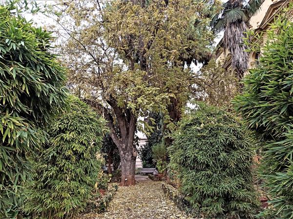 Botanical garden Granada, historical university garden in Granada