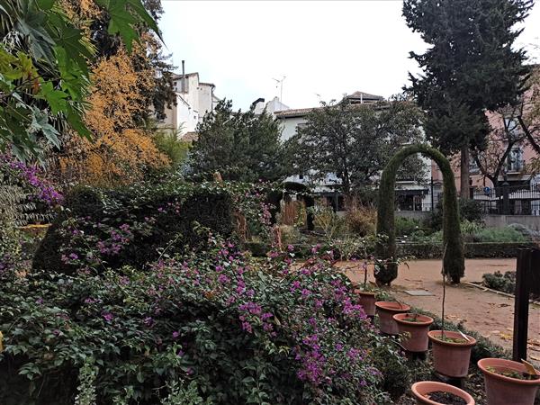 Jardines botánicos Granada, plantación Jardín de la universidad Granada