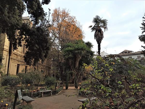 Botanical gardens Granada, University botanical garden