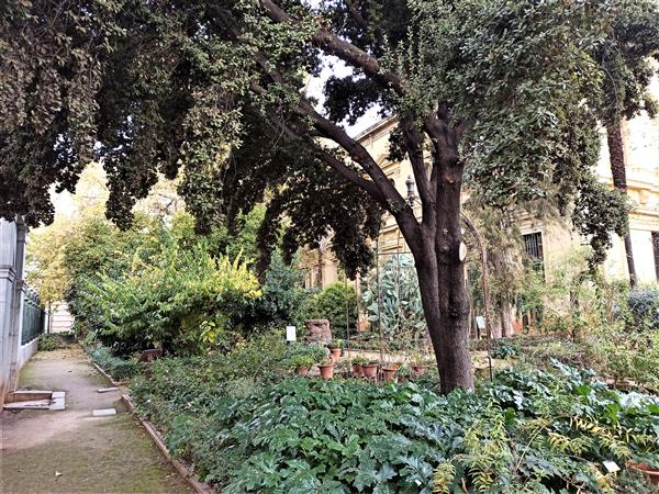 Botanical gardens Granada, university garden in centre of Granada